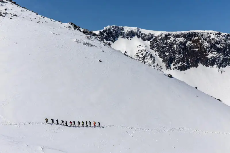 times de alta performance