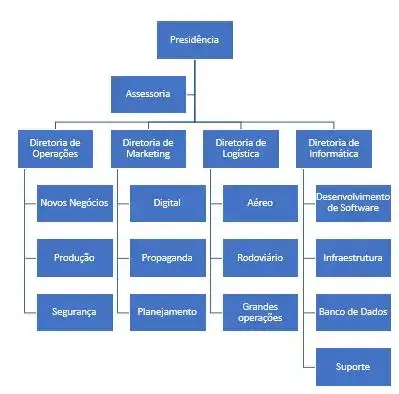 Exemplo de hierarquia de especialistas com Presidência, Assessoria; Diretoria de Operações, Departamento de Novos Negócios, Departamento de Produção, Departamento de Segurança; Diretoria de Marketing, , Departamento de Marketing Digital; , Departamento de Propaganda; Departamento de Planejamento; Diretoria de Logística, , Departamento de Transporte Aéreo, Departamento de Transporte Rodoviário, , Departamento de Grandes operações; Diretoria de Informática, Departamento de Desenvolvimento de Software, Departamento de Infraestrutura, , Departamento de Banco de Dados, , Departamento de Suporte