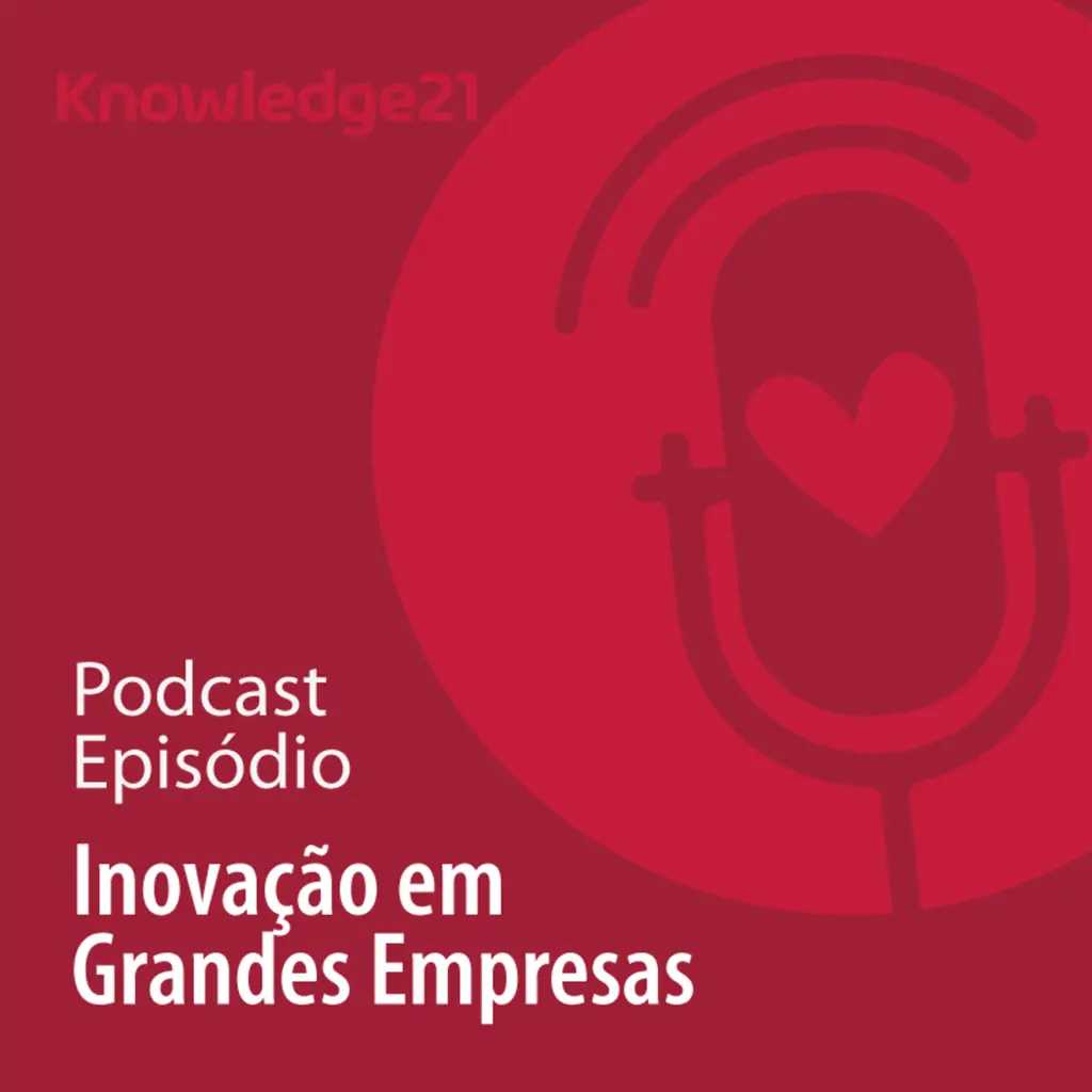 Ep. 34 - Inovação em grandes empresas